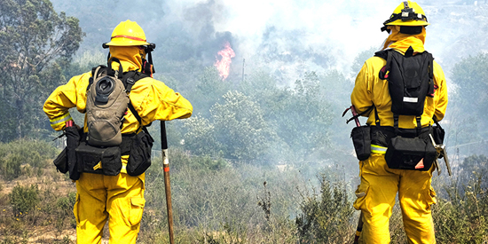 Firefighters observing a fire from a distance.